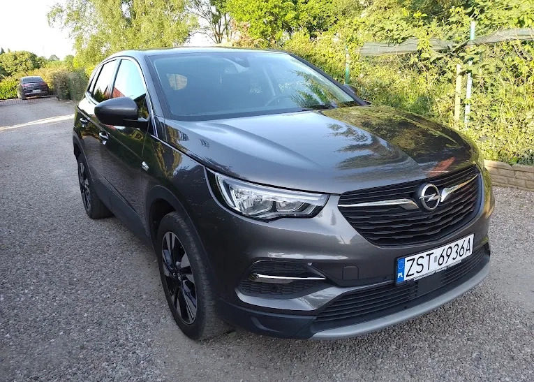 Opel Grandland X cena 57900 przebieg: 197000, rok produkcji 2018 z Kałuszyn małe 742